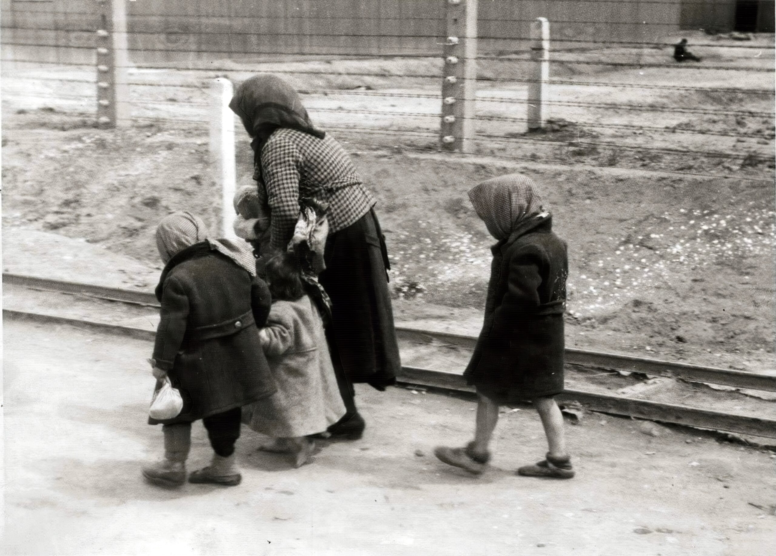 детский лагерь в венгрии
