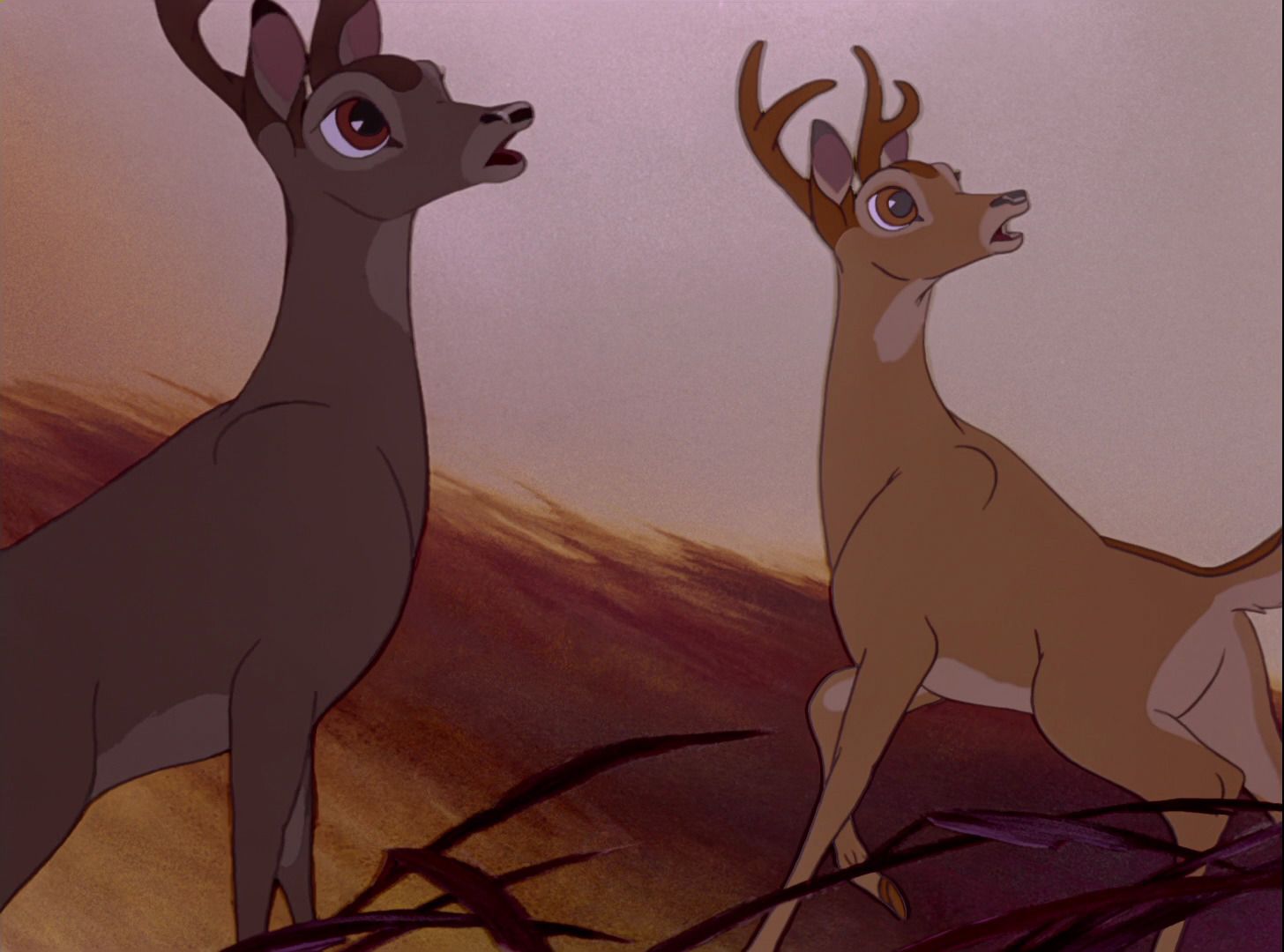„Bambi figyelmeztette a zsidókat a közelgő terrorra”