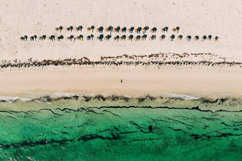 people on beach during daytime