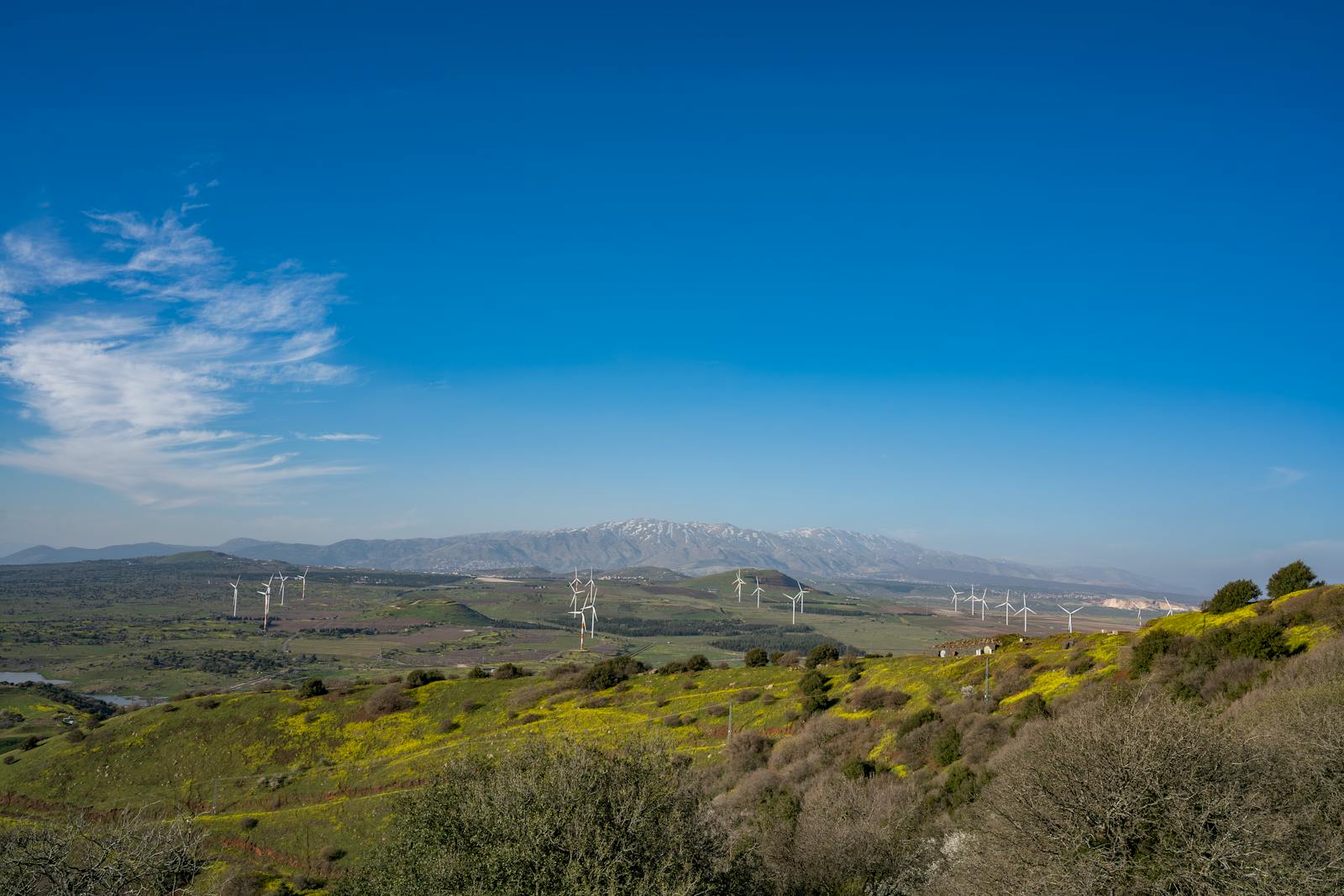 Scenic view of wind turbines and Mount Hermon in the Golan Heights with clear skies.