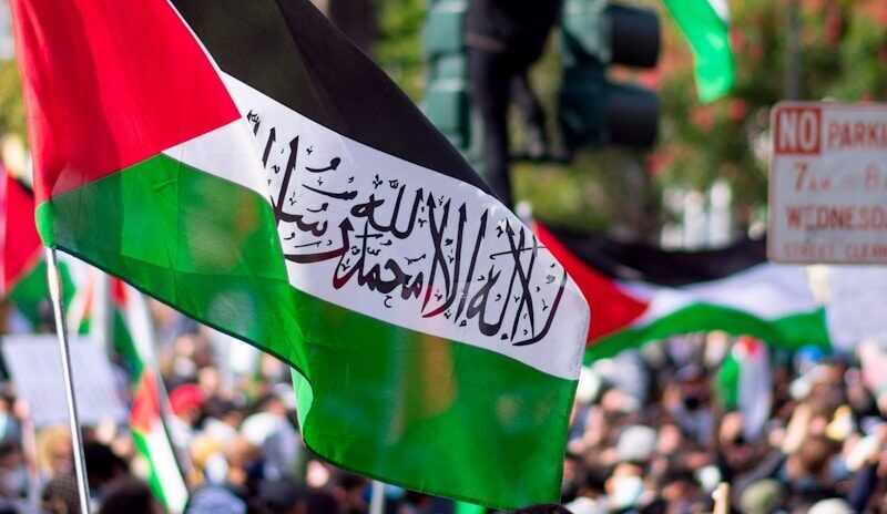 people holding flags during daytime